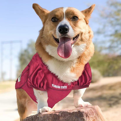 Pets First NCAA College Florida State Seminoles Mesh Jersey for DOGS & CATS, X-Small.Licensed Dog Jersey with your Favorite Football/Basketball College Team