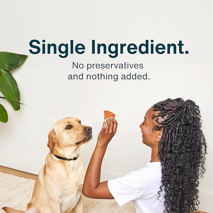 JustFoodForDogs Single Ingredient Healthy Dog Treats and Dog Snacks, Jerky Treats, Human Grade, Preservative and Grain Free, Rawhide Free Chews, Low Calorie Treat - Pork, 5 oz
