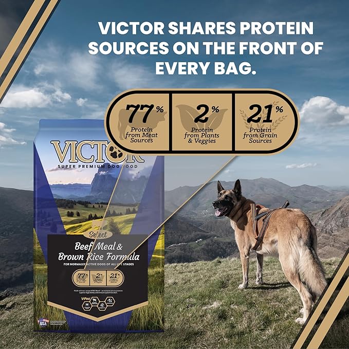 VICTOR Super Premium Dog Food – Select Beef Meal & Brown Rice Formula for Immune and Gut Health – Gluten-Free Beef Meal Dry Dog Food for All Normally Active Dogs of All Life Stages, 40 lbs