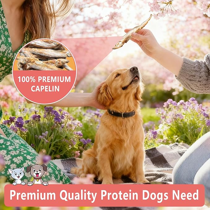 Freeze Dried Capelin with Roe for Cats & Dogs, Whole Fish Dog & Cat Treats - Single Ingredient, High Protein, Rich in Omega 3 for Skin & Coat Health, Grain-Free, Wild-Caught 3.8 oz