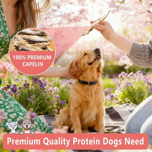 Freeze Dried Capelin with Roe for Cats & Dogs, Whole Fish Dog & Cat Treats - Single Ingredient, High Protein, Rich in Omega 3 for Skin & Coat Health, Grain-Free, Wild-Caught 3.8 oz