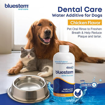 bluestem Freshens Dog and Cat Breath - Safe and Effective Dental Water Additive - 17 Ounce - Chicken