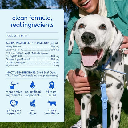 Native Pet Hip & Joint Advanced Care Dog Joint Supplement Powder for Mobility & Movement Support, Joint Supplement for Dogs with HMB, UC-II Collagen, Green Lipped Mussel & Hyaluronic Acid – 60 Scoops