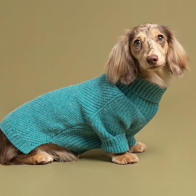 Fitwarm Turtleneck Dog Knitted Sweater, Thermal Winter Clothes for Small Dogs, Boy & Girl, Dog Sweater Pullover Jumper, Pet Outfit, Teal Blue, Large