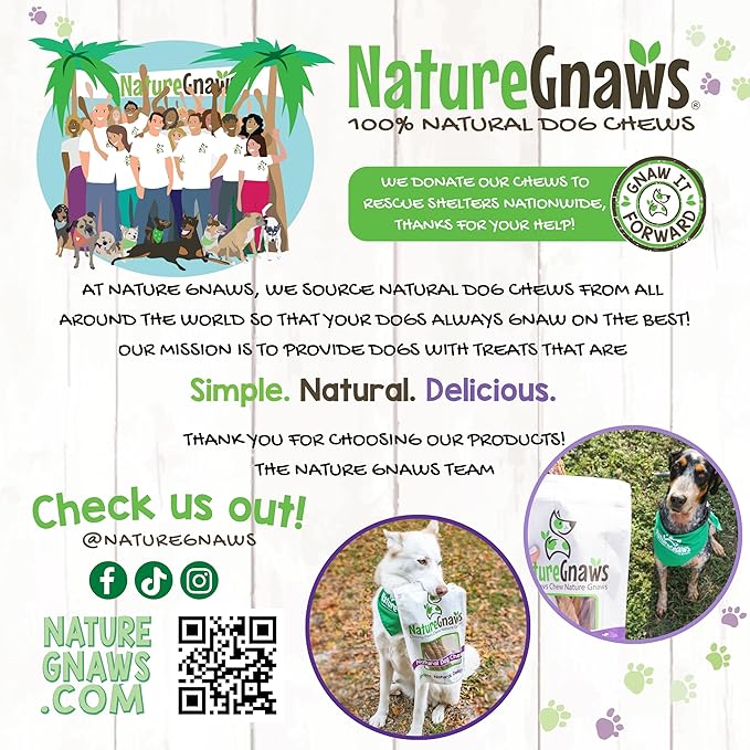 Nature Gnaws USA Turkey Tenders (1Lb) - Delicious Grain-Free Dog Treats for Small, Medium & Large Breeds - Natural Jerky Chews for Dogs.