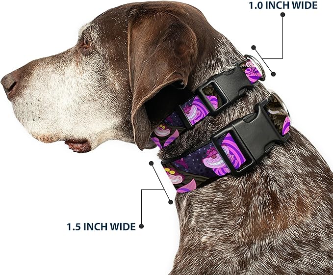 Buckle-Down Plastic Clip Collar - Cheshire Cat Tree Poses - 1.5" Wide - Fits 16-23" Neck - Medium