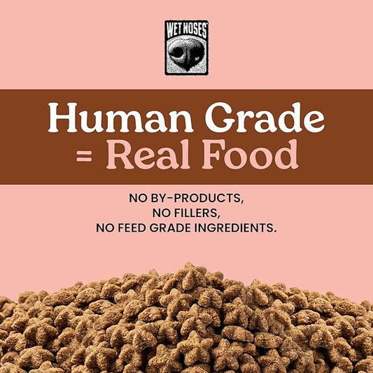 Wet Noses Training Treats – All-Natural, Human-Grade, Non-GMO, Healthy Training & Delicious Snacks for Dogs, for All Dog Sizes & Breeds – Peanut Butter, 14oz (2 Pack)