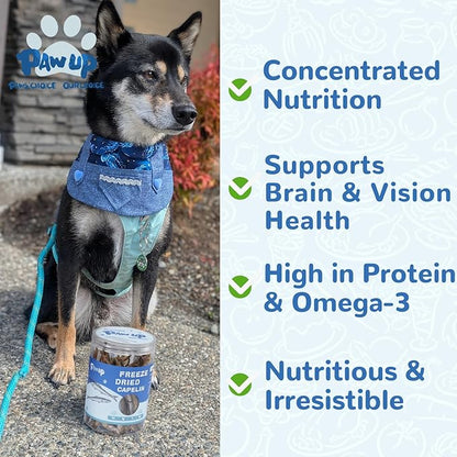 PAWUP Freeze Dried Capelin Dogs Treats – Raw Single Ingredient Dog Fish Snacks, Rich in Omega-3 for Skin & Coat Health, Grain Free, 3.5oz