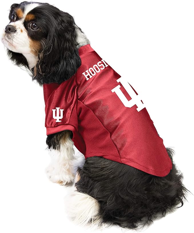 Littlearth NCAA Arizona Wildcats Stretch Pet Jersey, Team Color, Medium