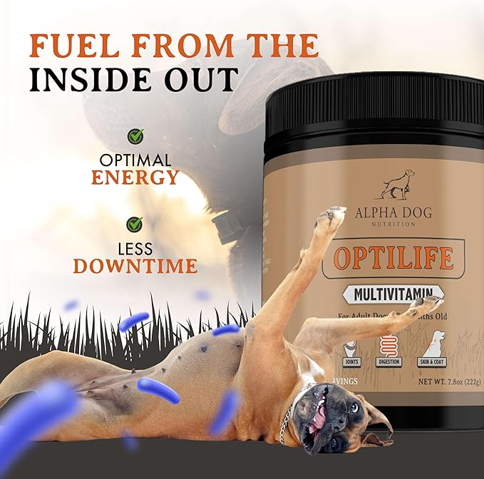 OptiLife Dog Multivitamin Powder - Adult Dog Multivitamin with Probiotics, Allergy Support, Joint Support, Skin & Coat Support - Dog Vitamins and Supplements - Multivitamin for Dogs (60 Servings)