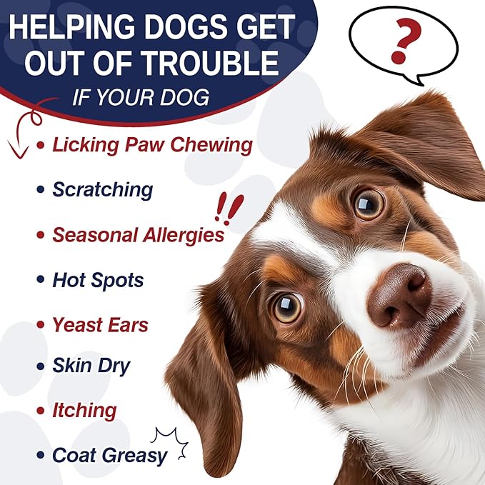 Dog Allergy Support Chews 200 CT, Dog Skin and Itchy