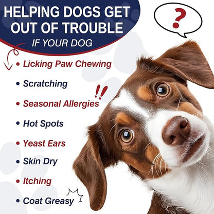 Dog Allergy Support Chews 200 CT, Dog Skin and Itchy