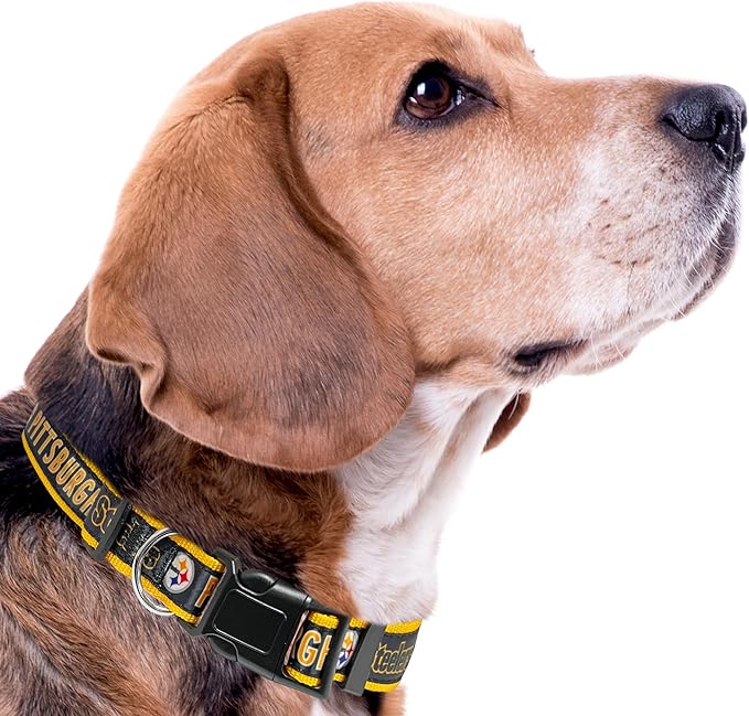 Pets First NFL Pittsburgh Steelers Licensed PET COLLAR, Medium - Heavy-Duty, Strong, and Durable Dog Collar. Available in 31 Football Teams and 4 Sizes