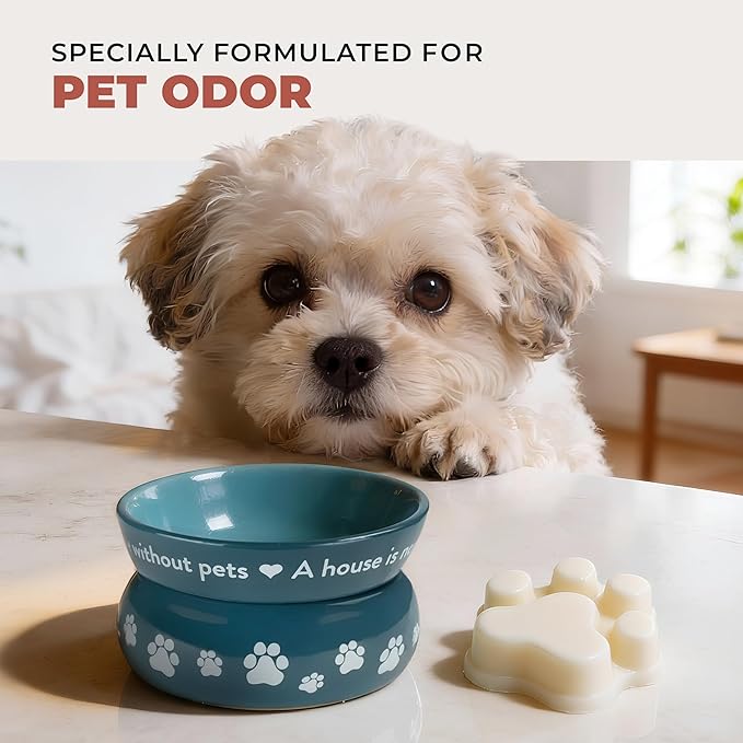 One Fur All Pet House Scented Wax Melts for Warmer - Long-Lasting Pet Friendly Plant Based Soy Wax Melts - Apple Cider Pack of 2