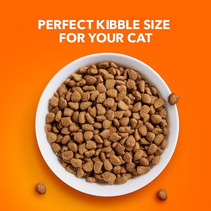 IAMS Proactive Health Dry Cat Food Hairball Care, Adult Cat Food, with Real Chicken and Salmon, 7 lb. Bag