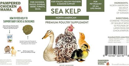 Kelp for Chickens & Duck Feed (5 Pound): Chicken Vitamins | Chicken Supplements | Vitamins for Chickens | Pampered Chicken Mama