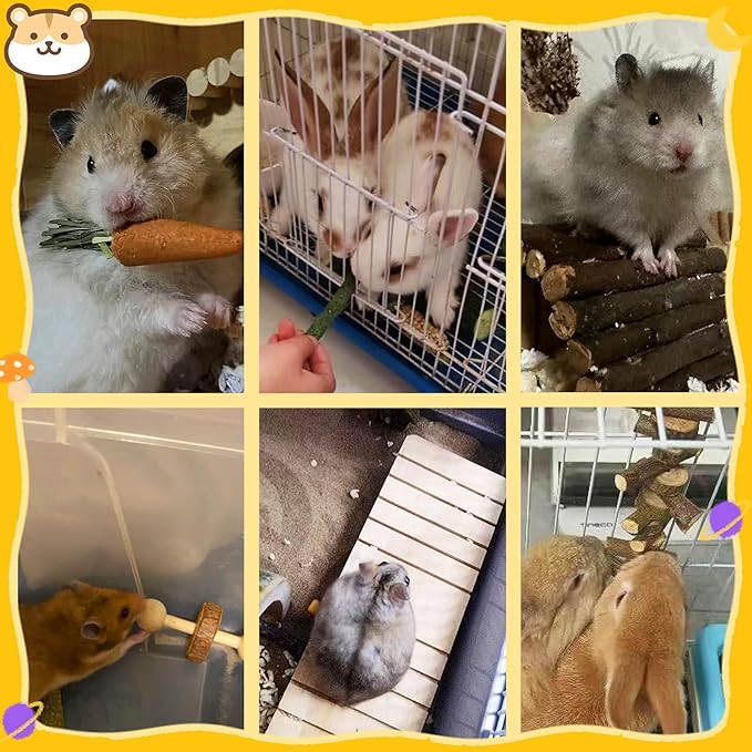 20 PCS Hamster Chew Toys Set, Natural Apple Wood Guinea Pig Toys, Hamster Cage Accessories Include Bridge, Seesaw, Carrot, Timothy Straw Stick Dental Care for Rat Gerbil Chinchilla Rabbits