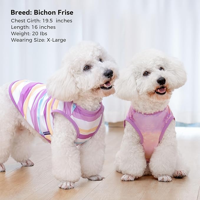 cyeollo 2pack Dog Shirt Cooling Breathable Sleeveless Summer Clothes for Dogs, Intant Cool T Shirts for Small Dogs, Purple S