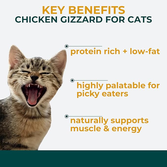 Momentum Carnivore Nutrition Freeze-Dried Chicken Gizzard Cat Treats – Single-Ingredient, High-Protein, All-Natural, Grain-Free, Naturally Flavorful – Made in USA – 1.9 oz Bag