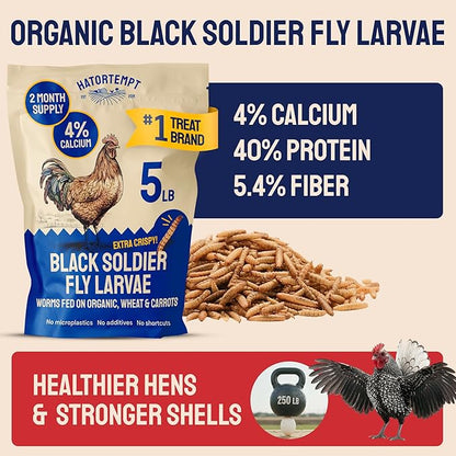 Hatortempt 5lb Dried Black Soldier Fly Larvae - More Calcium Than Mealworms for Chickens - High Protein Chicken Feed Treats for Laying Hens, Wild Birds and Duck Food