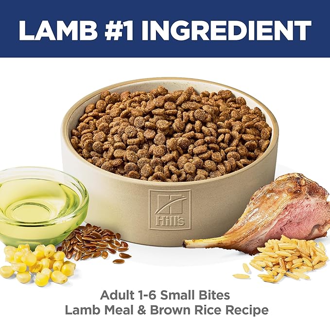 Hill's Science Diet Adult 1-6 Small Bites Dry Dog Food, Lamb Meal & Brown Rice, 4.5 lb. Bag