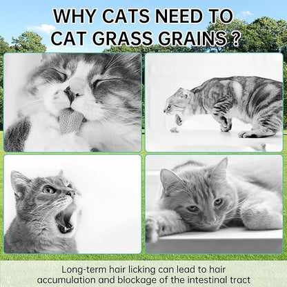 Freeze-Dried Cat Grass Dental Treats - Natural Teeth Cleaning Chews,Hairball Control,Grain-Free Edible Snacks for Indoor Cats & Kittens (80g)