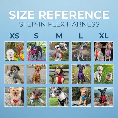 Best Pet Supplies Voyager Mesh Dog Breathable Harness Reflective Stitching, All Weather Adjustable for Walking Training, or Running - Heavy Duty & Durable, Harness (Orange), L