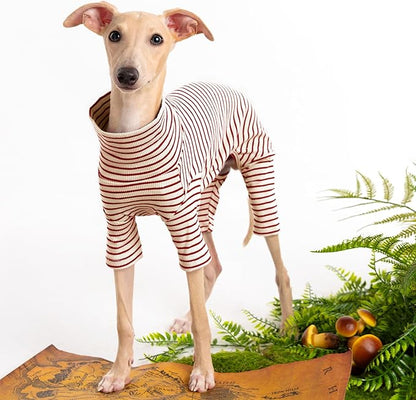 Dog Sweaters for Small Dogs Girls Boys, Striped Pet Sweaters for Fall Winter Dog Clothes, Turtleneck Pullover Knitwear for Small Medium Large Dogs