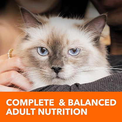 IAMS Proactive Health Dry Cat Food Hairball Care, Adult Cat Food, with Real Chicken and Salmon, 16 lb. Bag