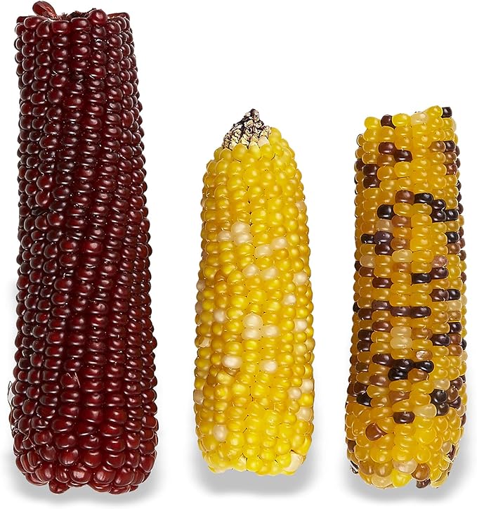 Vitakraft Mini Pops Treat for Small Animals - 100% Real Corn Cob - Supports Healthy Teeth - 6 oz (Pack of 2)