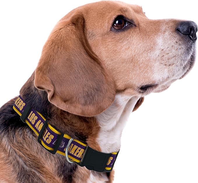 New & Improved Pets First NBA PET Collar Los Angeles Lakers Dog Collar, Size Small Basketball Team Collar for Dogs & Cats. A Shiny & Colorful Dog & Cat Collar Licensed by The NBA