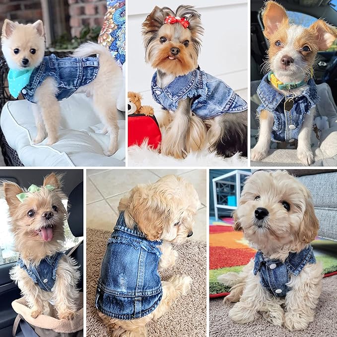 Jean Jacket, Blue Denim Lapel Vest Coat T-Shirt Costume for Small Medium Dogs Cats, Cute Girl Boy Puppy Clothes, Comfort and Cool Apparel, Machine Washable Outfits (XL, Blue)