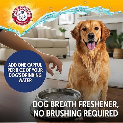 Arm & Hammer Dog Dental Water Additive Breath Freshener, Odorless Flavorless Oral Care Solution for Plaque and Tartar Control, Daily No Brush Dental Support for Dogs, 16 Fl Oz
