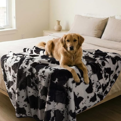 Waterproof Blanket for Bed, Couch, or Car - 60” x 80” Reversible Queen Size Throw Blanket for Reliable Leakproof Furniture Protection - Washable Pet Throws by Lavish Home (Cow Print)