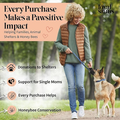 Freeze Dried Raw Dog Food - Premium Turkey and Salmon Flavor with High Protein and Grain Free Dog Food for All Breeds and Picky Eaters - Versatile as Meal Topper, Snack, and Treats, 14 Oz