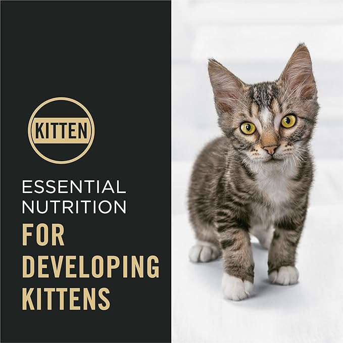 Purina Pro Plan Kitten Dry Food Complete Essentials Shredded Blend Chicken and Rice Formula - 3.2 lb. Bag