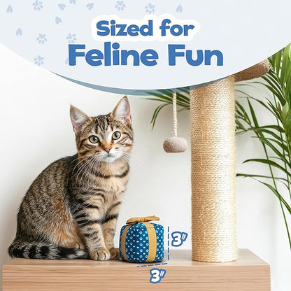 PUPROAR Gift Box Cat Toy, Cat Birthday Toy with Catnip and Crinkle, Cute Indoor Gift for Cats