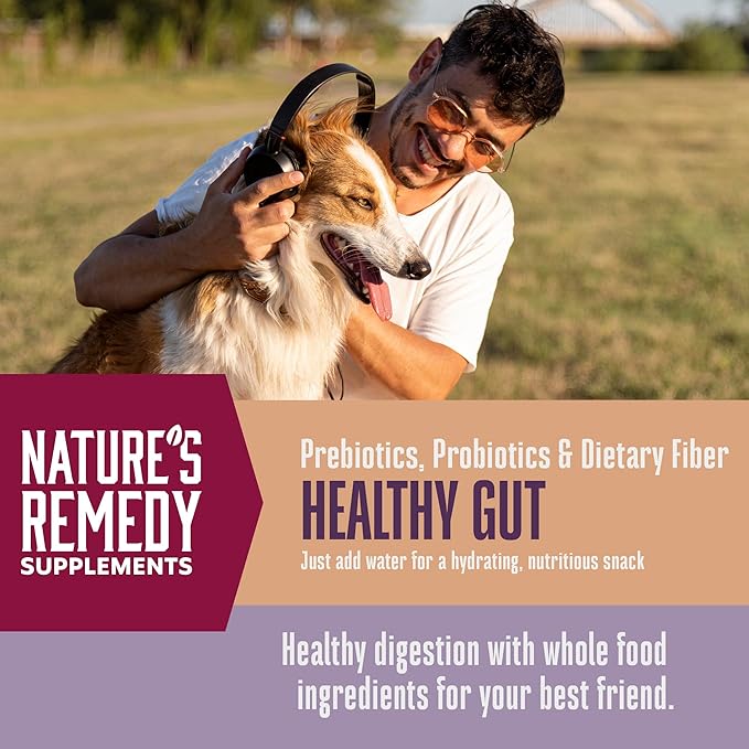 Whole Life Dog Healthy Gut Daily Dog Supplements, Human Grade Probiotics for Constipation Relief, Anti-Diarrhea, Vomit Remedy & Digestive Support, Health Supplies - 90 Servings