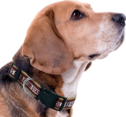 Pets First Collegiate PET Collar OLD VERSION Florida State Seminoles Dog Collar, Size Medium. Best Sports Team Collar for Dogs & Cats. A Shiny & Colorful Dog & Cat Collar Licensed by The NCAA