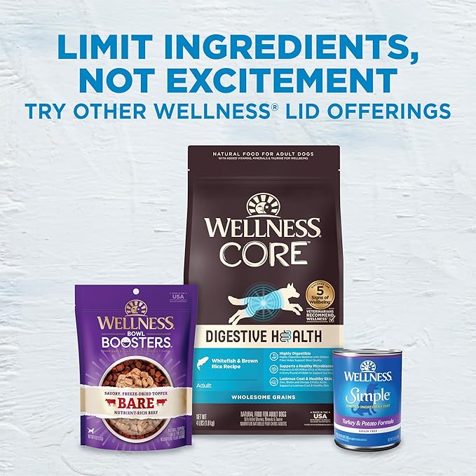 Wellness Simple Limited Ingredient Adult Dry Dog Food, Grain Free Kibble, Sensitive Stomach, Skin & Coat Support, Natural, Chicken Free, Salmon and Potato Recipe, 40 lb Bag