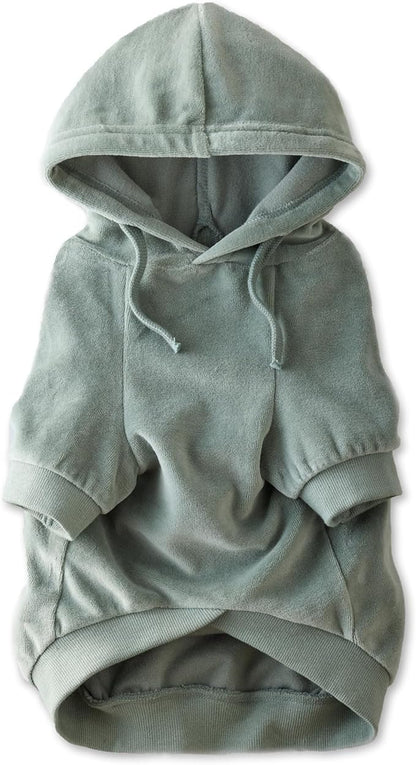 Pet Passion Cooper II Organic Cotton Velour Dog Hoodie Pet Coat for Small, Medium and Large Dogs, Sage, XXX-Small (up to 5lbs)