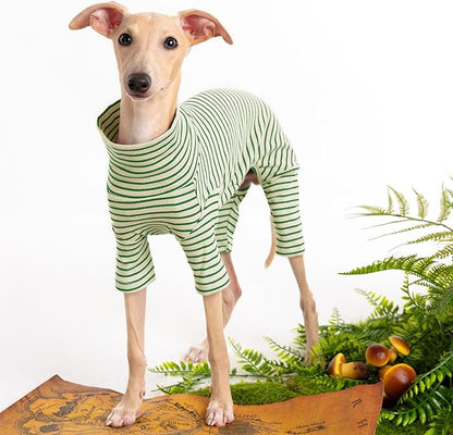 Dog Sweaters for Small Dogs Girls Boys, Striped Pet Sweaters for Fall Winter Dog Clothes, Turtleneck Pullover Knitwear for Small Medium Large Dogs