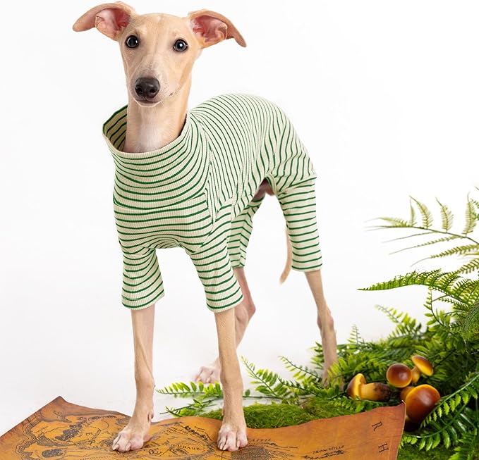 Dog Sweaters for Small Dogs Girls Boys, Striped Pet Sweaters for Fall Winter Dog Clothes, Turtleneck Pullover Knitwear for Small Medium Large Dogs