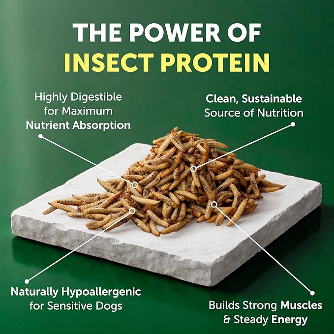 Nature's Protection Hypoallergenic Small Breed Dry Dog Food - High Protein, Grain Free Tear Stain Formula - Dog Kibble for Sensitive Stomachs for Adult Light Fur Dogs (Superior Care - Insect, 22 lb)