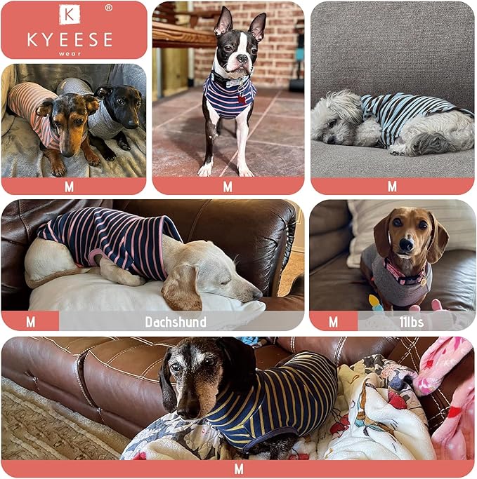 KYEESE 2Pack Dog Sweater Turtleneck Small Pets Sweaters Warm Pet Coats Soft Pets Clothes Pullover Pets Sweatshirt Dog Sweaters for Small Dogs Male Stretchy Dogs Clothes