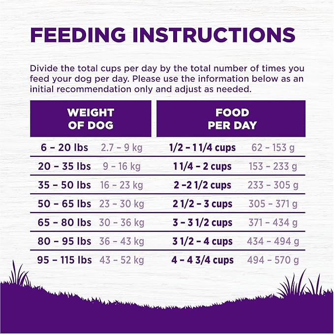 Wellness Complete Health Adult Dry Dog Food, Wholesome Grain Kibble, Natural, Chicken and Oatmeal Recipe, 15 lb Bag