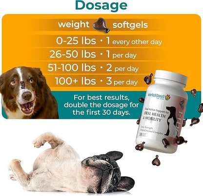 1TDC WorksSoWell Dual Action Hip and Joint Supplement for Dogs & Cats - for Large & Small Breed - Great for Oral Health, Stamina Recovery & Arthritis Pain Relief -30 ct