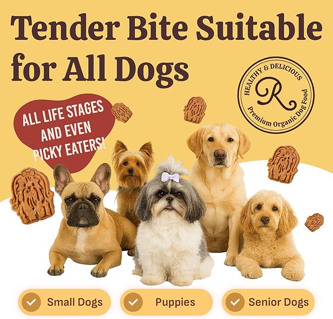 Rondi's Kitchen Lilly's Littles Organic Tender Dog Treats - Natural Doggie Cookie for Small Dogs, Puppy, Senior, Training - Human Grade Superfood Biscuit with Bone Broth - Chicken & Banana