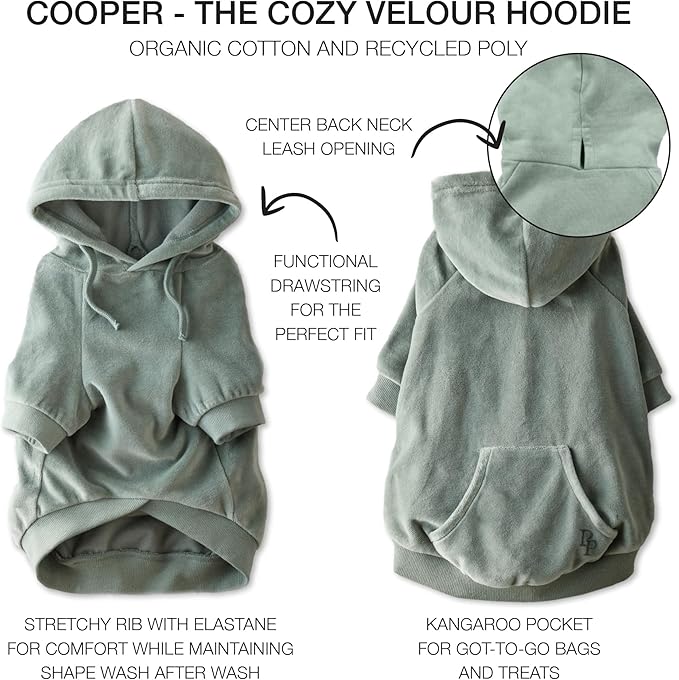 Pet Passion Cooper II Organic Cotton Velour Dog Hoodie Pet Coat for Small, Medium and Large Dogs, Sage, X-Large (55-80 lbs)