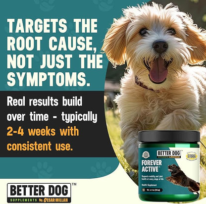 Better Dog Supplements Forever Active by Cesar Millan – Natural Dog Hip & Joint Care for Mobility, Flexibility & Comfort – Herbal Blend Dog Joint Supplement Powder – 4oz (60-Day Supply)